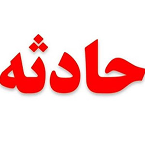 سگ‌های وحشی، نوزاد سه هفته‌ای را کشتند!