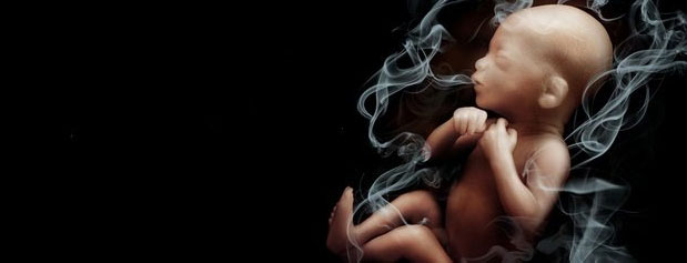 تاثیر منفی استعمال سیگار بر کبد جنین