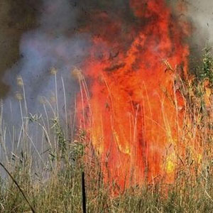 افزایش آمار آتش‌سوزی علفزار‌ها و باغات در قزوین نگران‌کننده است