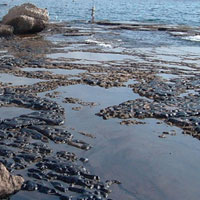 نقش ۷۰ درصدی فاضلاب‌ها در آلودگی دریای خزر