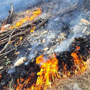 آتش‌سوزی 40 هکتار از ارتفاعات سالند دزفول - salamatnews