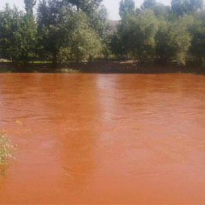 ماده شیمیایی موجود در آب زاینده رود خطری برای محصولات کشاورزی ندارد
