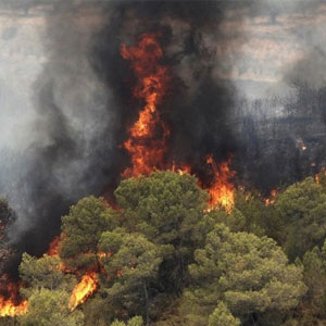 تلاش برای خاموش کردن آتش جنگل‌های "چرام" با دست خالی!