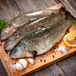 تسکین علائم آرتریت روماتوئید با مصرف مرتب ماهی