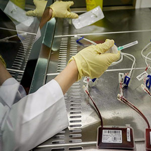 استخراج اطلاعات ژنتیکی 45 هزار نمونه ذخیره در بانک خون بند ناف رویان
