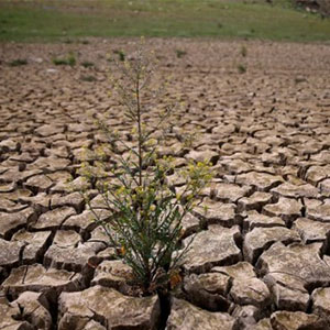 محققان: رهایی زودهنگام خاورمیانه از خشکسالی بعید است