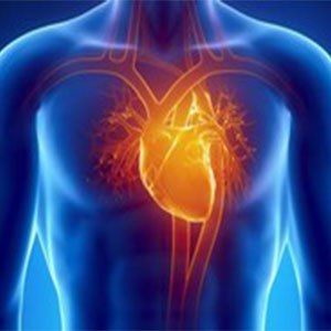 پروتئین از حمله قلبی محافظت می کند