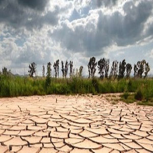 ارتباط خودکشی ۶۰ هزار کشاورز هندی با تغییرات اقلیمی