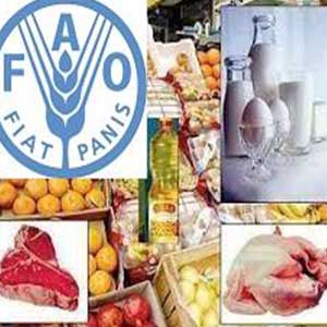 فائو: قیمت جهانی مواد غذایی برای سومین ماه متوالی افزایش یافت