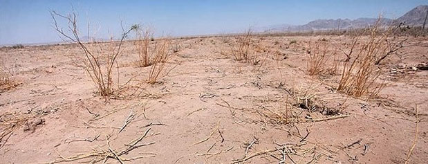 ۹۴ درصد مساحت کشور درگیر خشکسالی است/وضعیت وخیم خوزستان، قم و خراسان شمالی