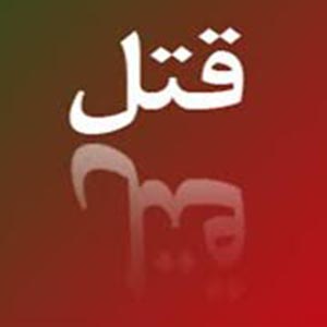 آمار قتلهای خانوادگی در جامعه نگرانکننده است آمار قتلهای خانوادگی در جامعه نگرانکننده است