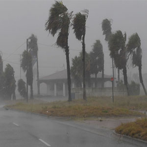 رد پای تغییر اقلیم در طوفان مرگبار "هاروی"