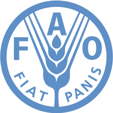 فائو: تولید جهانی غلات رکورد تاریخی جدیدی ثبت می‌کند