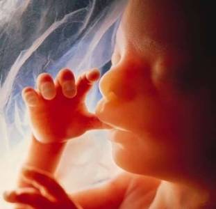 مادران تعیین کننده جنسیت جنین هستند یا پدران؟