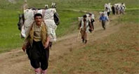 کردستان دارای بیشترین کولبر و کمترین حقوق شهروندی