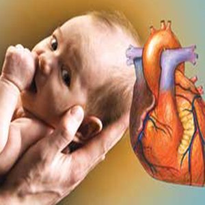 کشف ژن های جدید مرتبط با بیماری قلبی مادرزادی