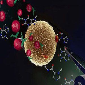 از بین بردن سلول های سرطان با یک مولکول جدید