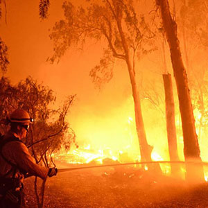 آتش سوزی در جنگل های کالیفرنیا 40 قربانی گرفت
