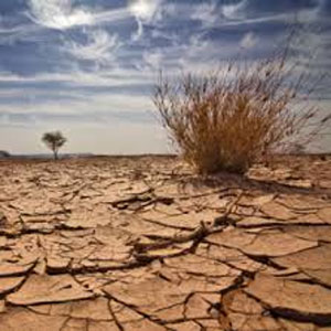 تداوم خشکسالی شدید در ۱۲ استان کشور