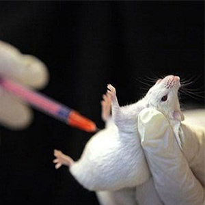 آیا موش‌های آزمایشگاهی، بیش‌ ازحد استریل هستند؟