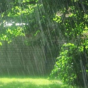 بارش پراکنده باران در شمال/ هوا گرم می شود