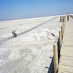 به احیای دریاچه ارومیه هیچ امیدی ندارم