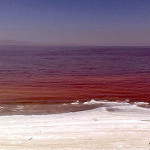 دولت در حد توان برای احیای دریاچه ارومیه تلاش کرده/خشکی دریاچه روند افزایشی ندارد