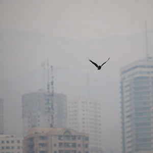 معادن شن و ماسه از عوامل اصلی آلودگی هوای تهران/ توصیه های وزارت بهداشت به شهروندان