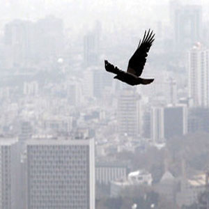 حل معضل آلودگی هوای تهران وظیفه کدام سازمان است؟