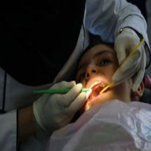 استفاده از سلول های بنیادی در بازسازی ساختمان های دندانی