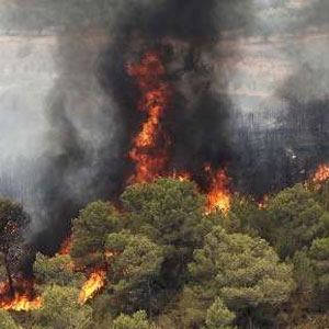 15هکتار از جنگل‌های تنکابن در آتش سوخت