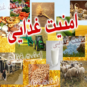 خوزستان با معضل عدم امنیت غذایی مواجه‌ است