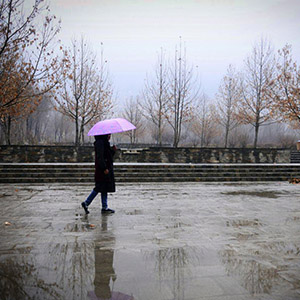 بارش شدید باران در جنوب کشور/ شهرهای بزرگ همچنان آلوده است بارش شدید باران در جنوب کشور/ شهرهای بزرگ همچنان آلوده است