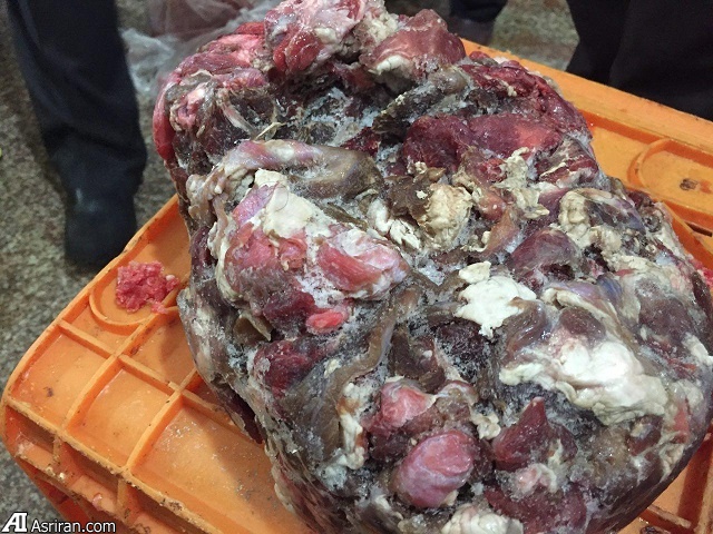کشف گوشت فاسد خرس، گراز و الاغ از مغازه‌های تهران!