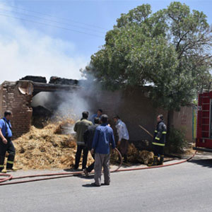 140 گوسفند یک روستای خراسان در آتش سوخت