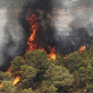 افزایش 20 درصدی آتش سوزی جنگل ها در سال 96 نسبت به سال 95