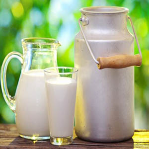 شیر پروبیوتیک با کاهش عوارض بارداری همراه است