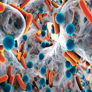 کشف طبقه جدیدی از آنتی بیوتیک ها با جستجو در میکروبیوم خاک