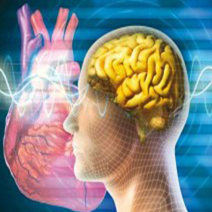 نقایص قلبی با افزایش احتمال زوال عقل همراه است