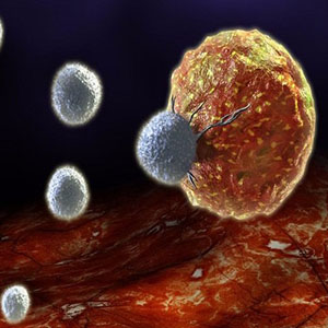 روش های نوین درمان سرطان با استفاده از سیستم ایمنی بدن