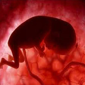 بیماری‌هایی که بین مادر و جنین منتقل می‌شود