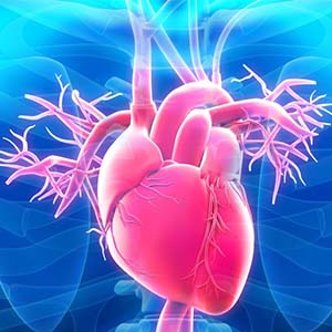 ۶ علامتی که از بیماری‌های قلبی عروقی خبر می‌دهند