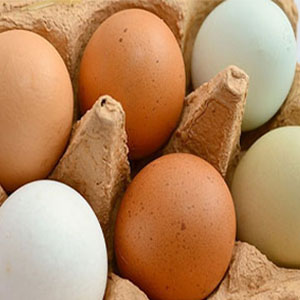همه چیز درباره نگهداری و مصرف تخم‌مرغ‌
