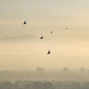 آلودگی هفت برابری حدمجاز هوا در لرستان