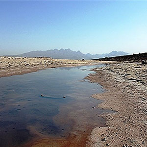پیگیری طرح انتقال آب از پیرانشهر به دریاچه ارومیه