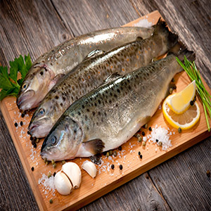 مصرف ماهی موجب افزایش قدرت باروری می شود