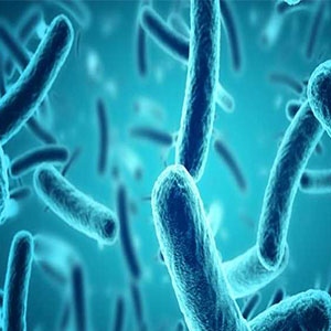 کشف راهی برای نابودی باکتری ها بدون استفاده از آنتی بیوتیک
