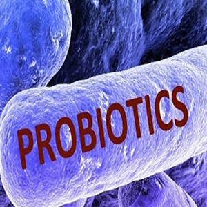 پروبیوتیک‌ها بدن را در برابر استرس ایمن می‌کنند