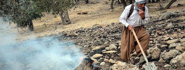 آتش‌سوزی‌های غافلگیركننده،به‌زودی جنگل‌های ایران را در بر می‌گیرند/مردم با بیل و كلنگ به‌ جنگ آتش جنگل های زاگرس می‌روند