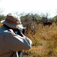 مجوز شکار بین ۵۰ تا ۷۰ میلیون تومان به شکارچیان خارجی فروخته می‌شود